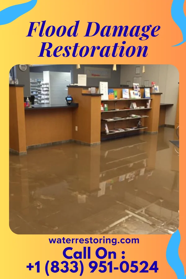 Flood Damage Restoration in St. Rosa, MN