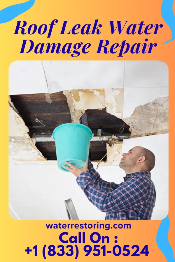 Roof Leak Water Damage Repair in St. Rosa, MN